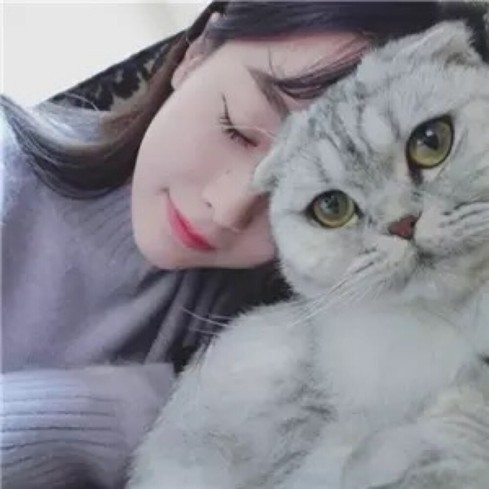 搞怪头像 黑白头像 性感头像 成熟头像 个性头像 抱猫少女 美女和猫