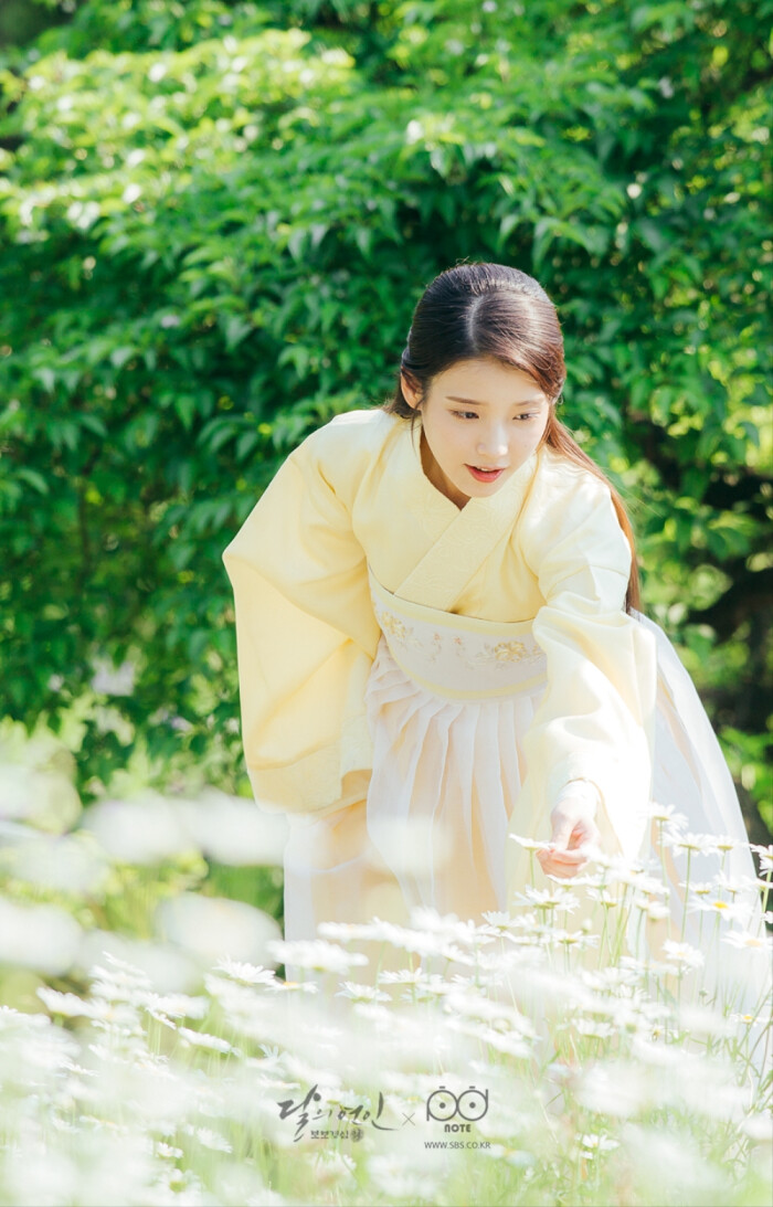 上麗 Iu 壁紙 最高の花の画像