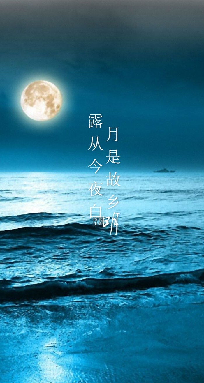 《月夜忆舍弟(杜甫)