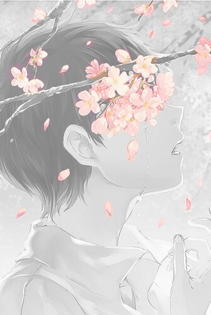 桃花- 堆糖,美图壁纸兴趣社区