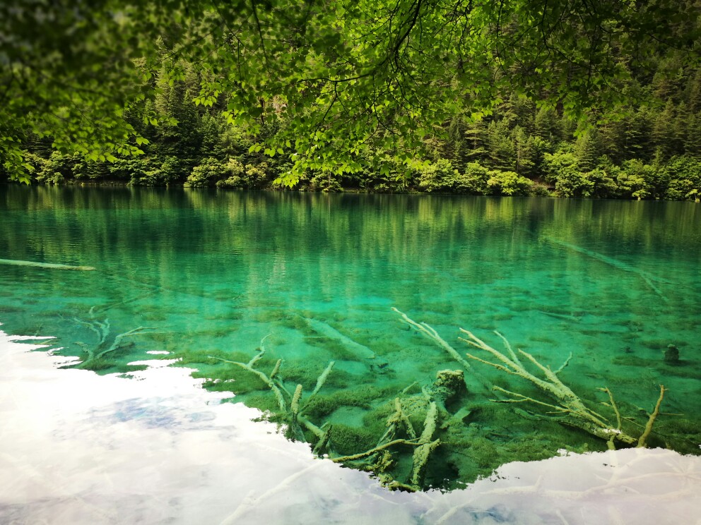 九寨沟 水清可见底,犹如宝石嵌于山间