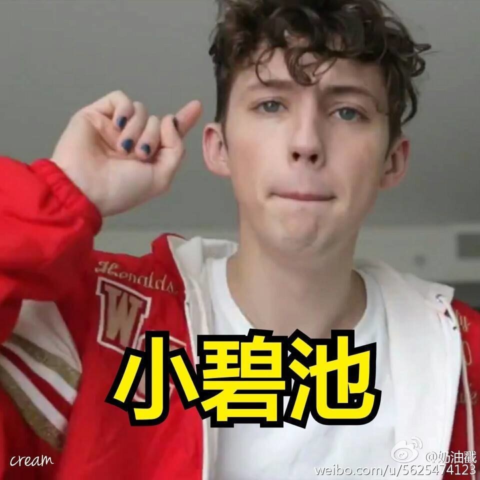 表情包troye sivan 戳爷