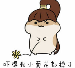 仓鼠掉瓜子表情包
