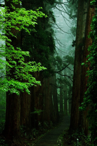 唯美风景 iphone手机壁纸 唯美壁纸 锁屏 背景