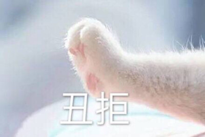 猫爪子表情包