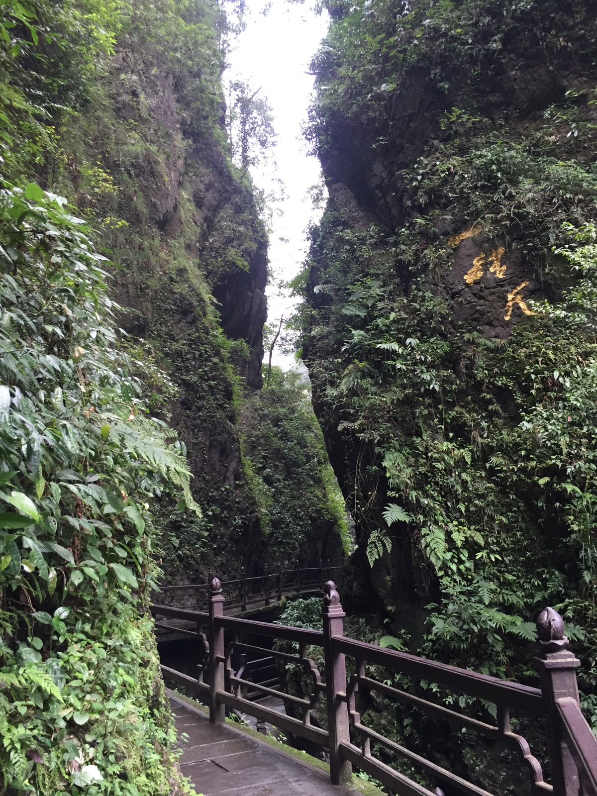成都.峨眉山.只要有山就有的一线天.