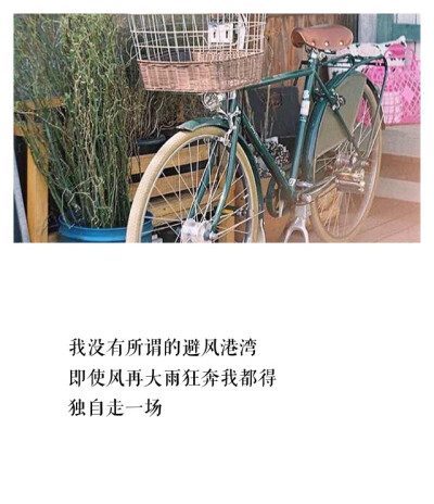 "喜欢你,是最好的事情.