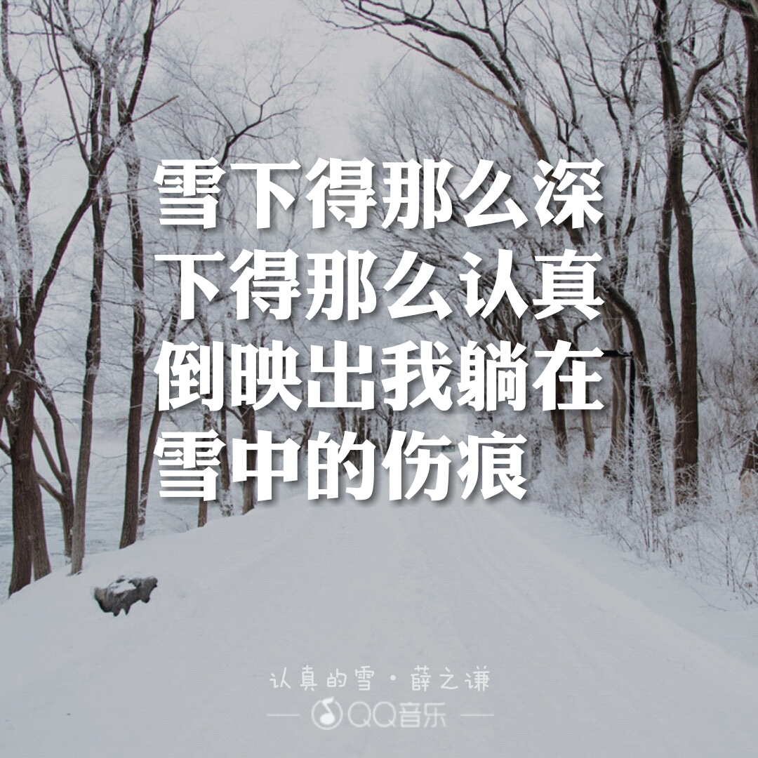 认真的雪薛之谦