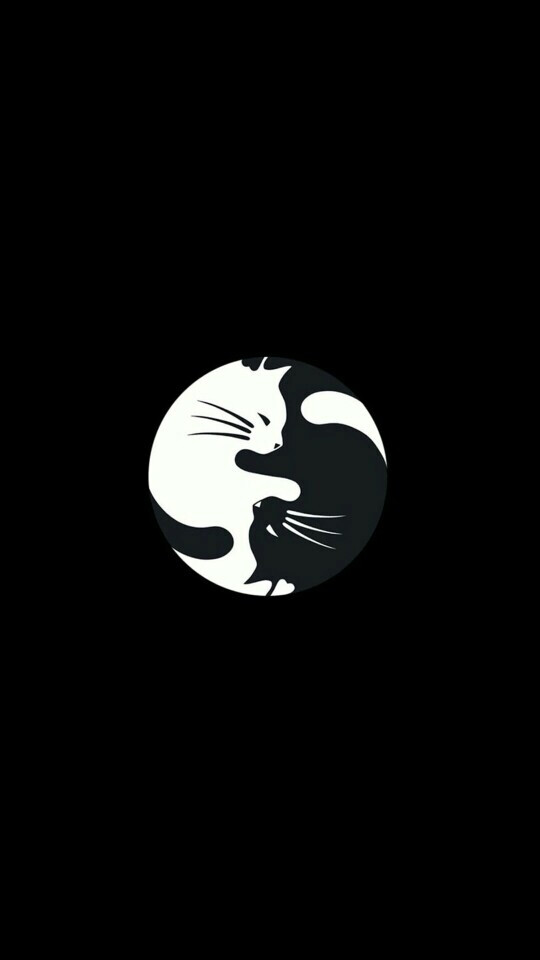 猫太极