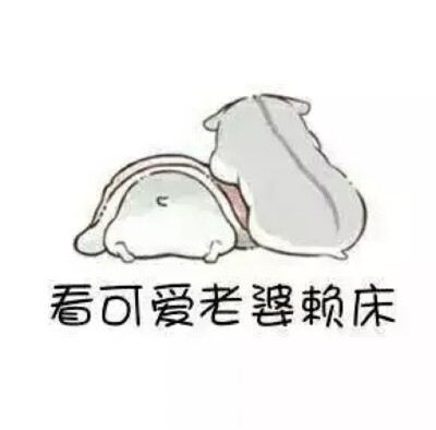 hamham 小仓鼠表情包