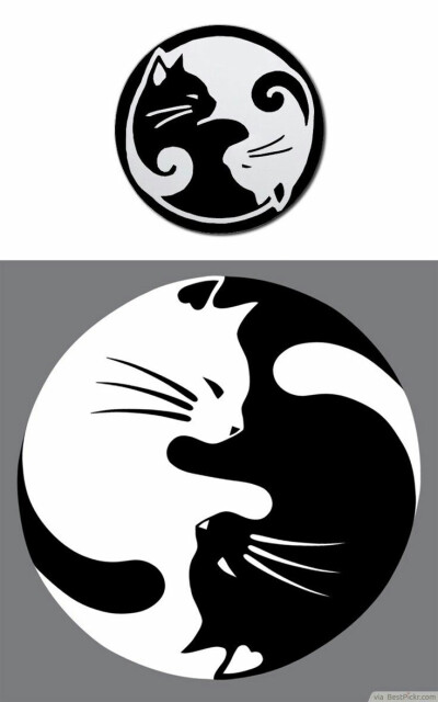 发布到  标志 图片评论 0条  收集   点赞  评论  黑白圆形猫图案 0