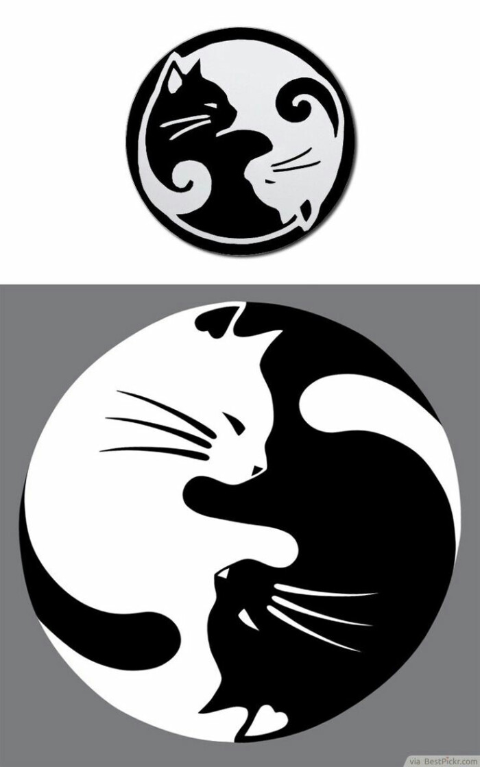黑白圆形猫图案