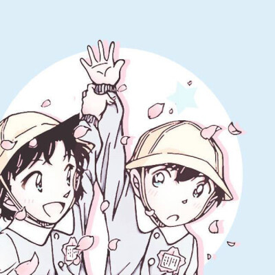 新兰