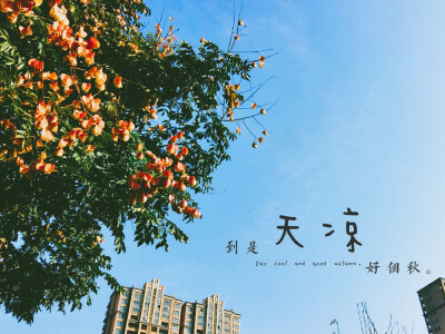 阳光明媚的秋日早晨(工作的地方)