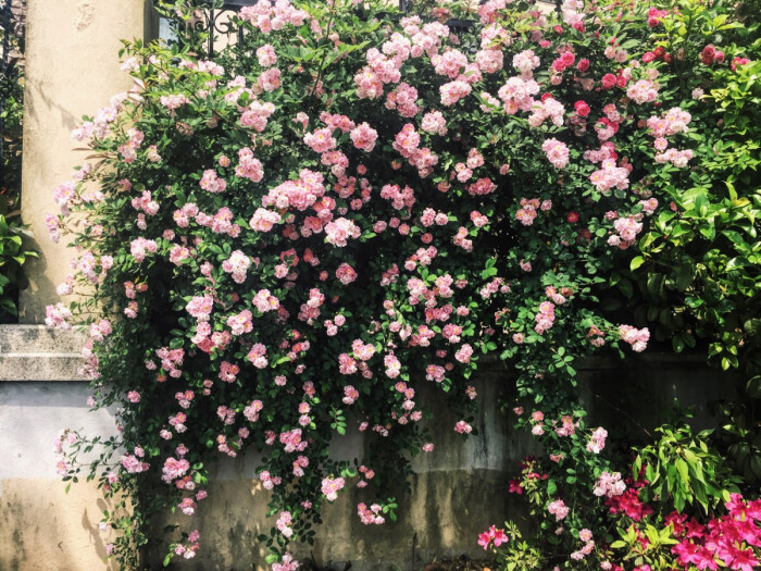 很多个下午,一个人拿着相机出门扫街,拍各…-堆