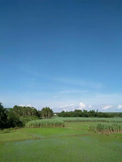 风景 蓝天 白云 田野 晴天 微风 护眼 绿色 壁纸 图片 童趣 摄影 旅行