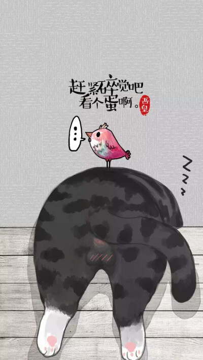 赶紧睡觉吧