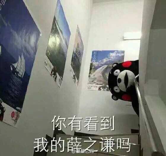 世界和平