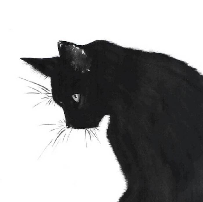 情侣头像,黑猫.