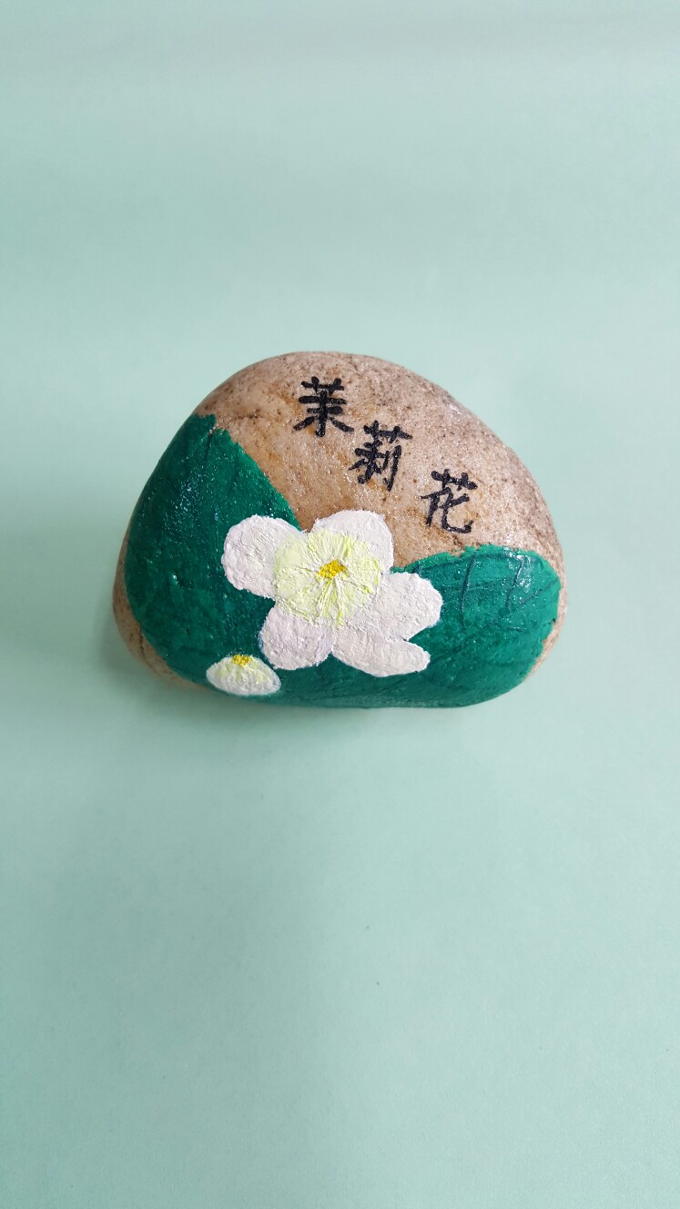 我的石头画 茉莉花