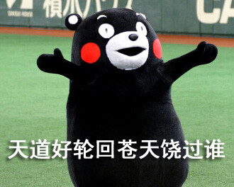 天道好轮回,苍天饶过谁