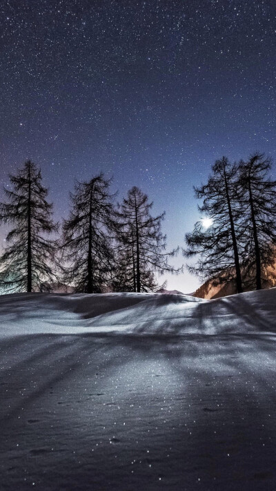 雪景