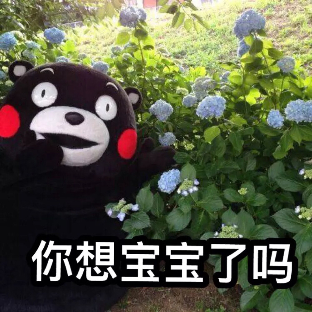 表情包抱图点赞留名kiss