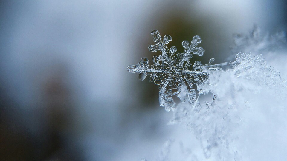 冬季雪花唯美电脑壁纸