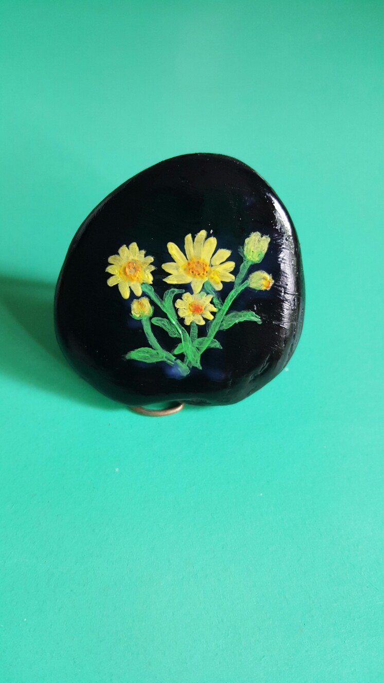 我的石头画雏菊