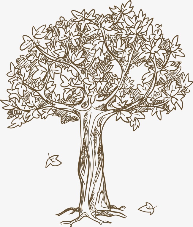 手绘植物树