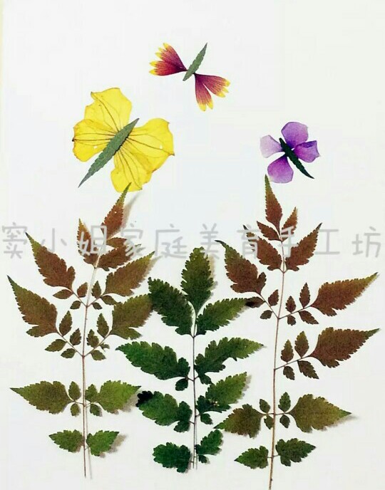 树叶贴画(收集)