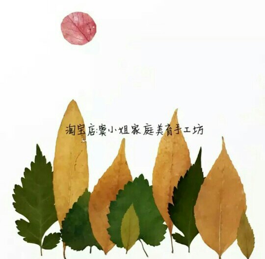 树叶贴画(收集)