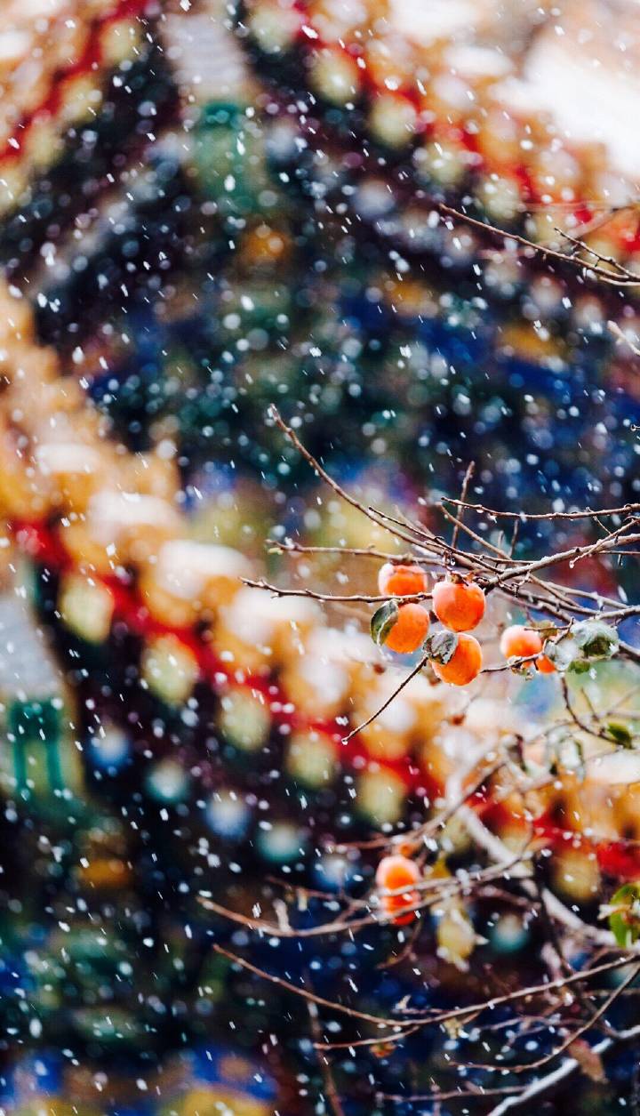 初雪的故宫