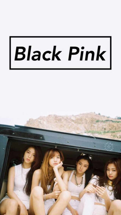 blackpink rose壁纸