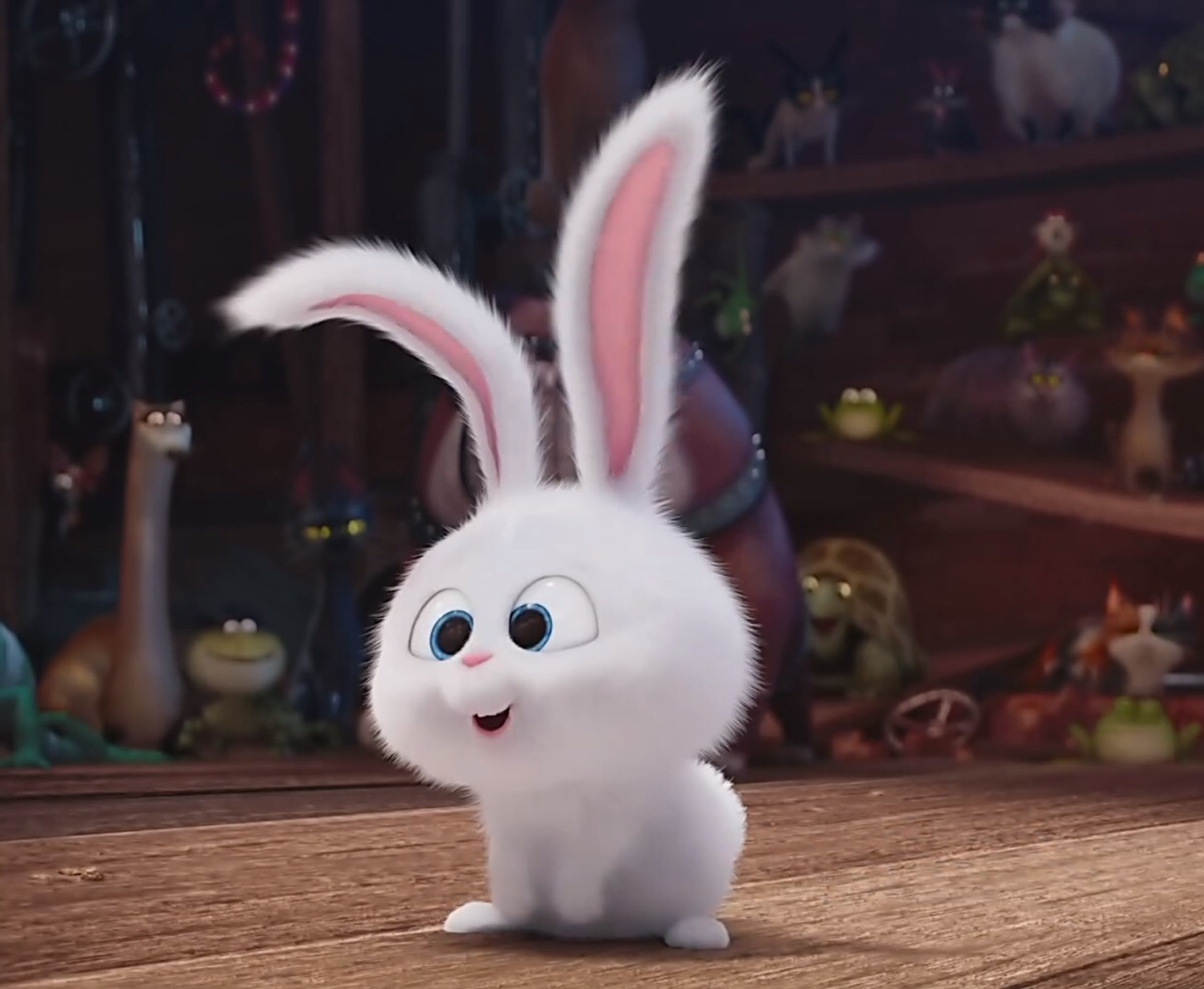 The Secret Life of Pets Snowball Wallpapers | HD Wallpapers | ID #17762