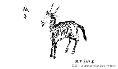 羬羊是古代汉族传说中的一种野兽名,出于钱来山,它的形状像羊,却长着