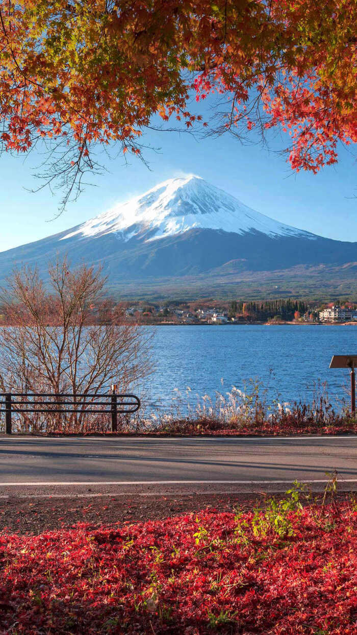 富士山的秋 当富士山湖畔的枫叶开始由绿泛红 漫山的红叶 在夕阳的照耀下 热情似火 给富士山的秋天增添了一抹暖意 堆糖 美图壁纸兴趣社区