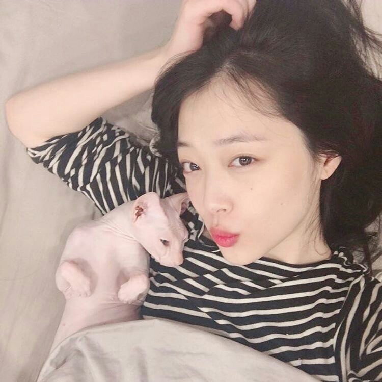 韩国女爱豆头像 崔雪莉sulli