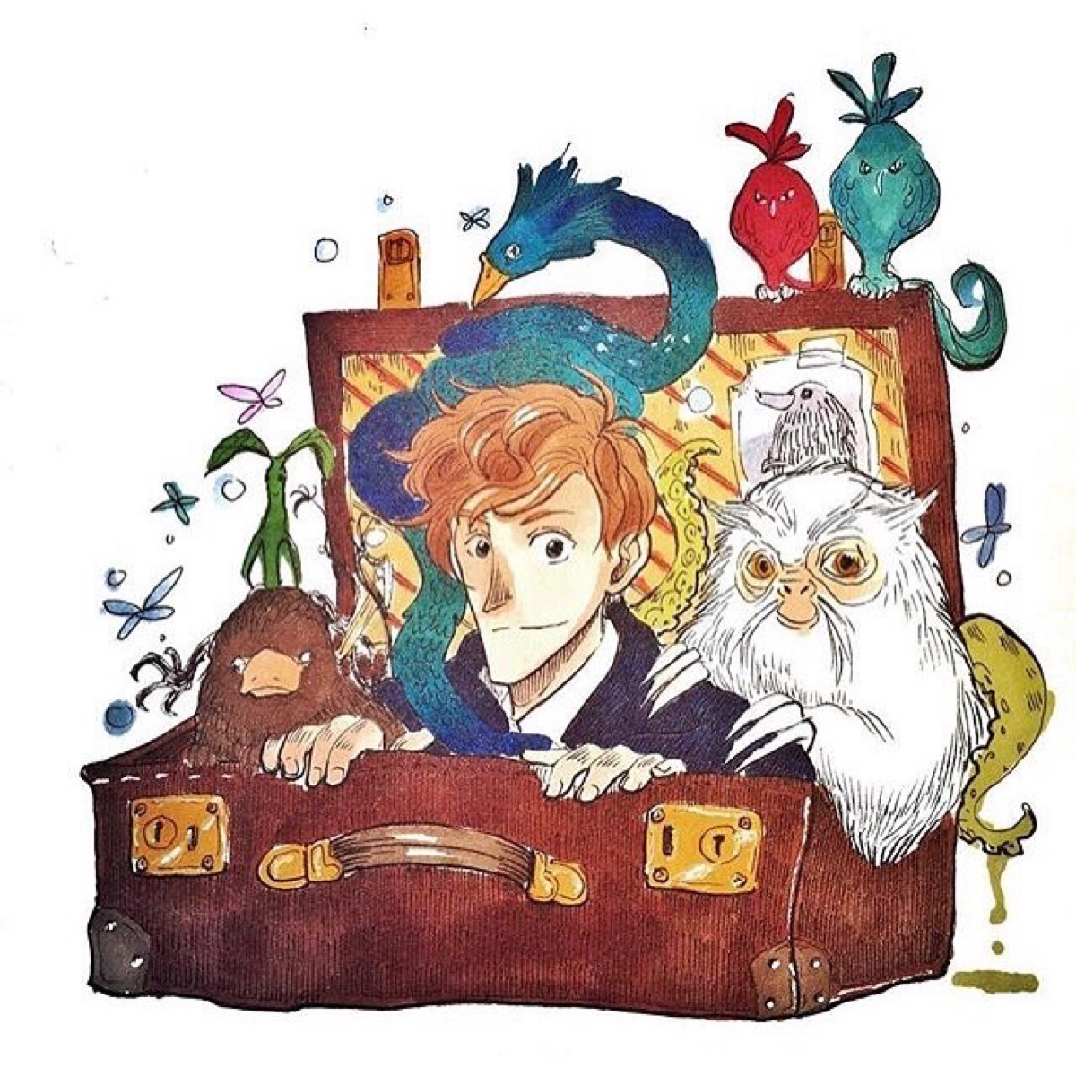 Fantastic Beasts And Where To Find Them