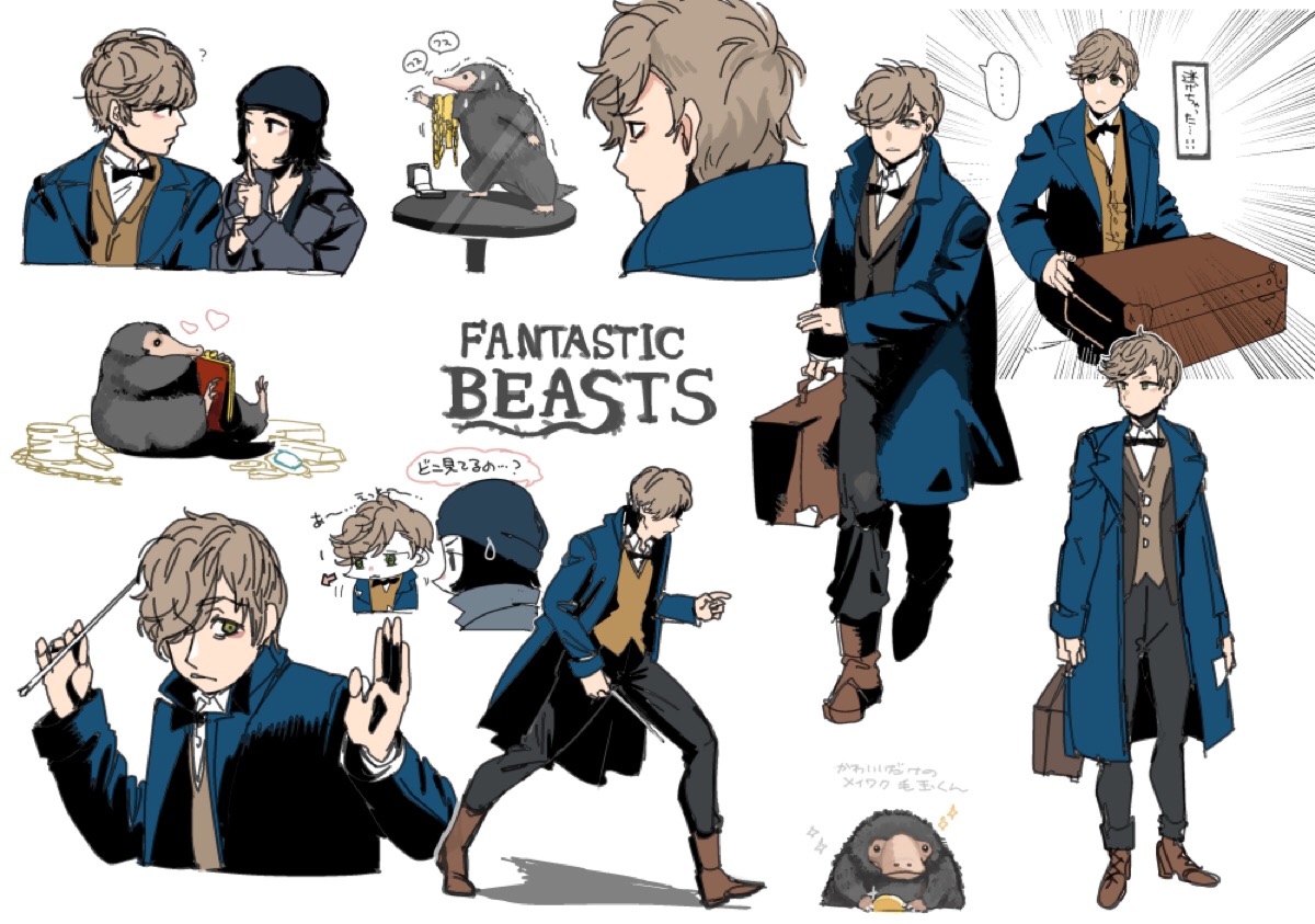 fantastic beasts and where to find them 《神奇动物在哪里》