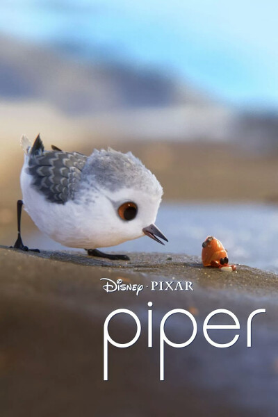 「鹬 | piper 」由皮克斯新一代的动画人alan barillaro导演的一部