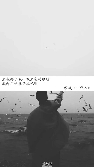 [黑夜给了我一双黑色的眼睛,我却用它来寻找光明]顾城《一代人#诗歌