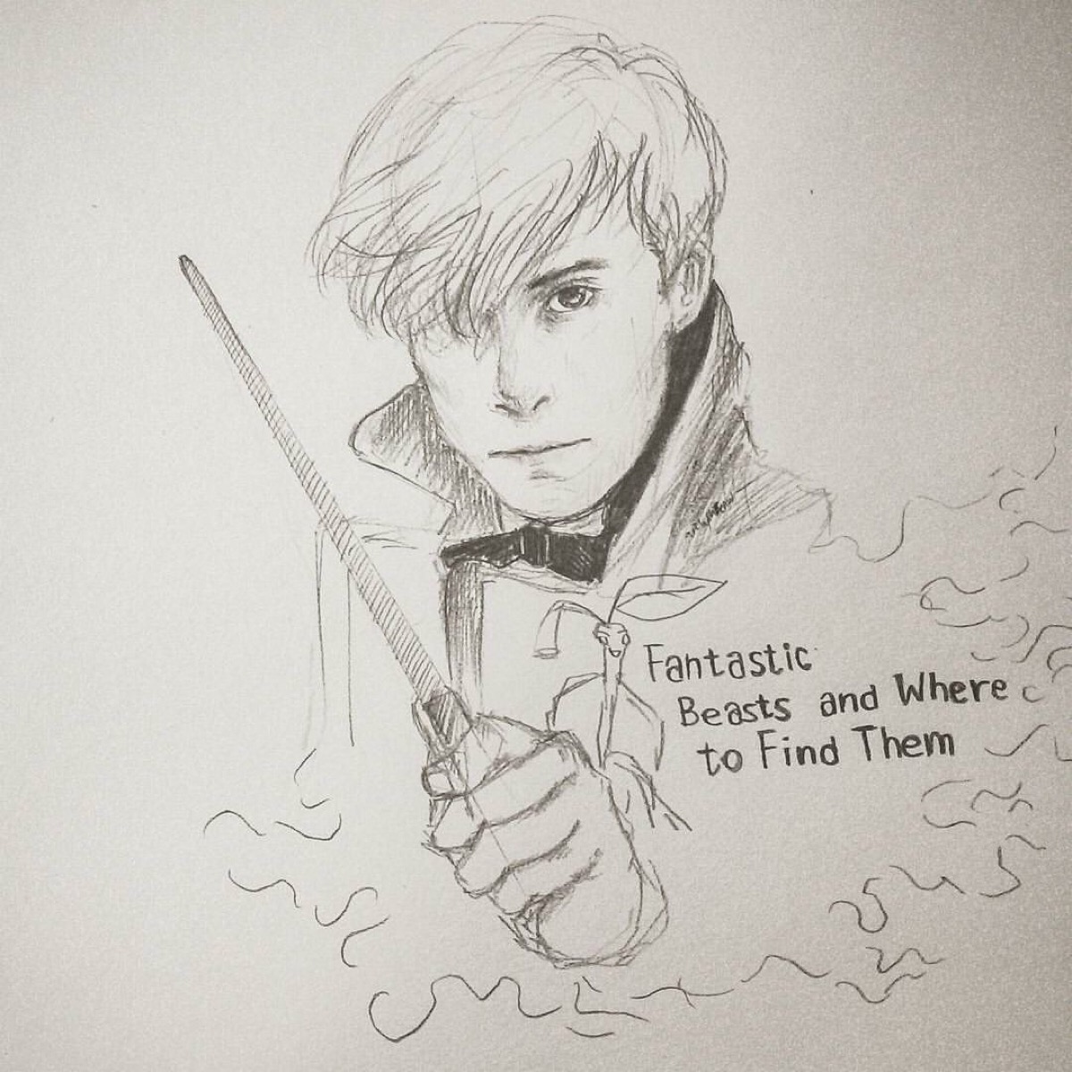 fantastic beasts and where to find them 《神奇动物在哪里》