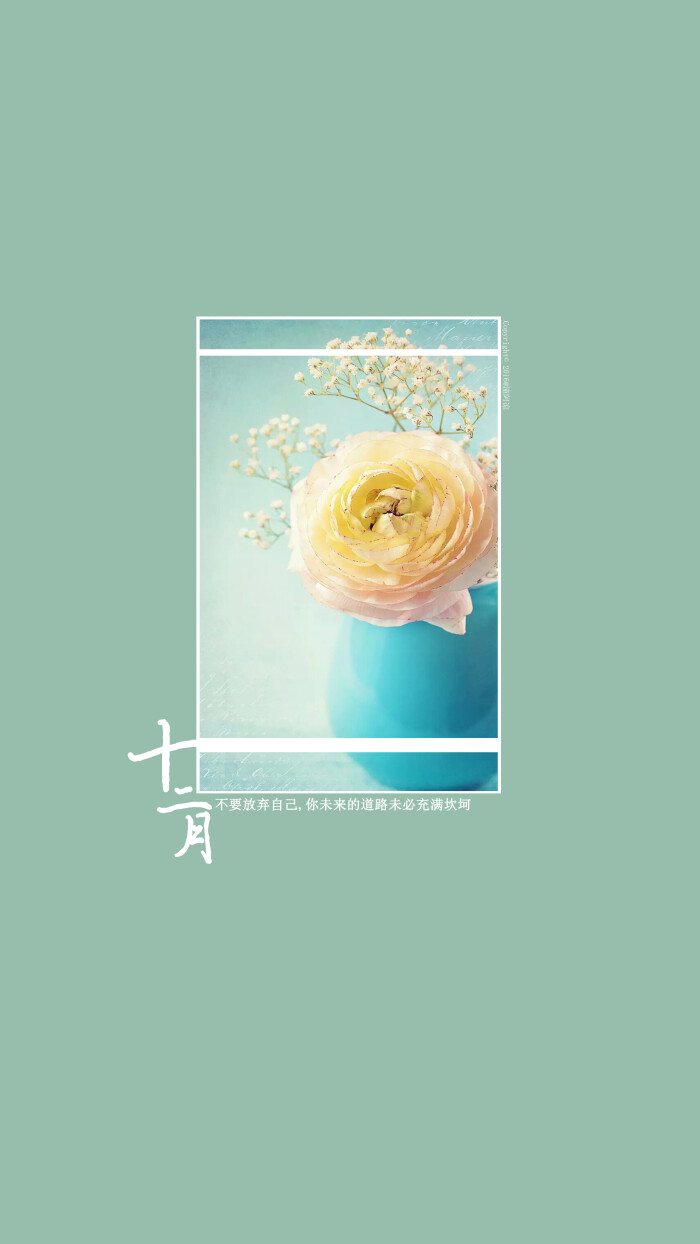 [你好,十二月]#月份#节日#风景#花朵#英文#文字#手机壁纸#@潼阿凉to