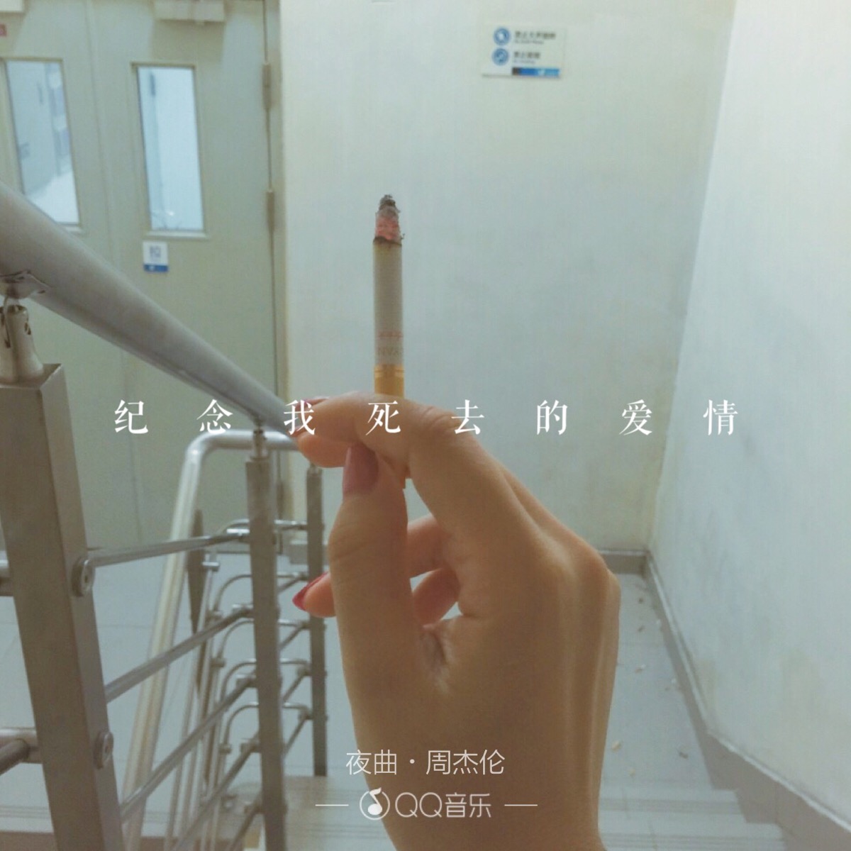 纪念我死去的爱情