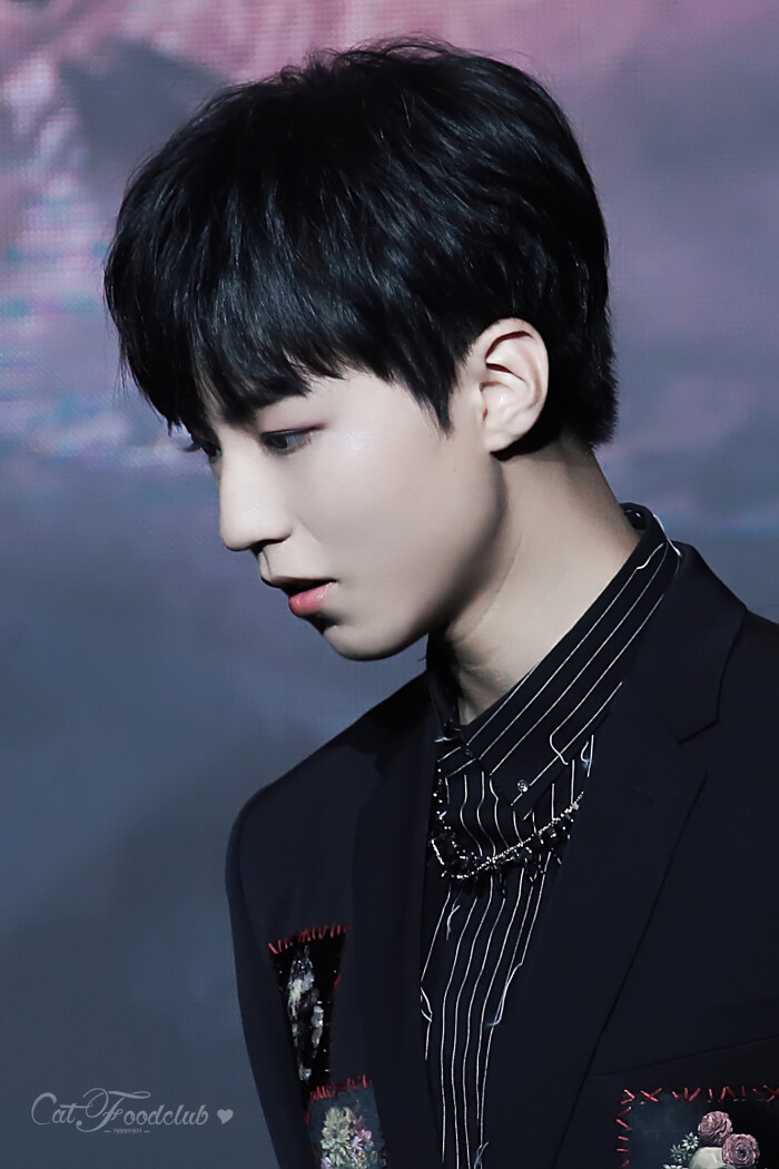 王俊凯 电影长城发布会 2016.12.6 cr.logo