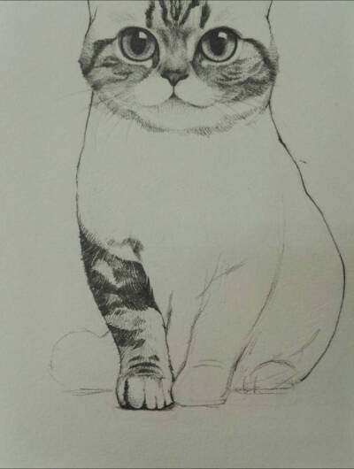 线描猫黑白画