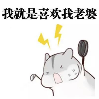 宠老婆系列