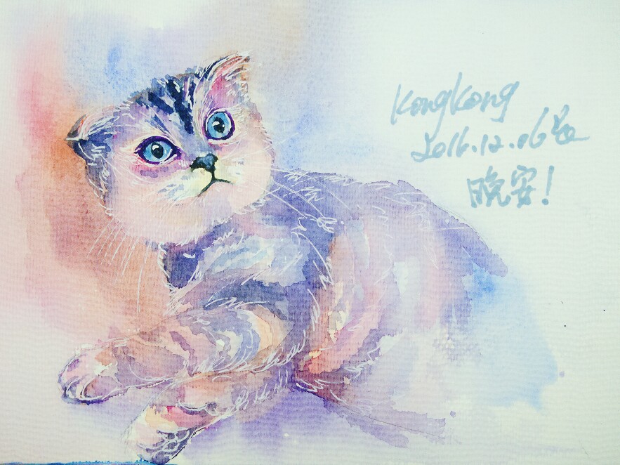 粉丝家的小猫~喵~手绘 水彩 插画 水彩插…-堆糖,美好生活研究所