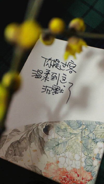 兄弟姐妹文字大图